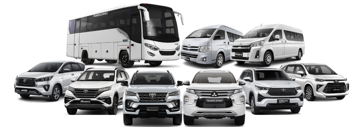 Avanza TSS Matic